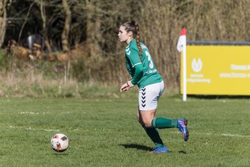 Bild 373 - F SG NieBar - IF Stjernen Flensborg : Ergebnis: 4:1